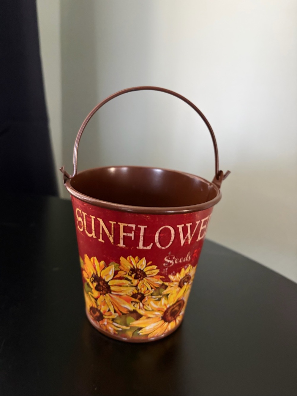 Decorative Red Brown Metal Bucket Sunflower Seeds Planter Fall Decor